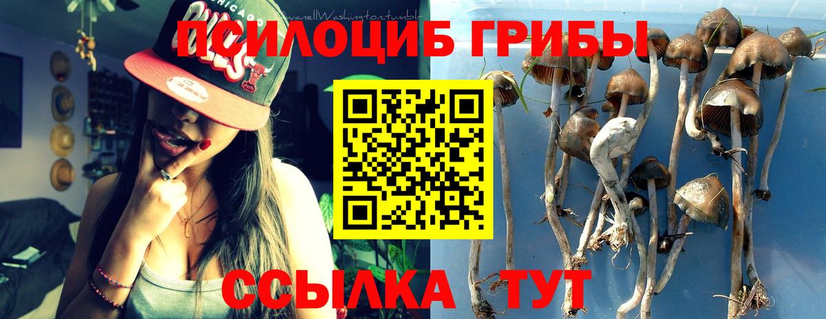 Галлюциногенные грибы GOLDEN TEACHER Надым
